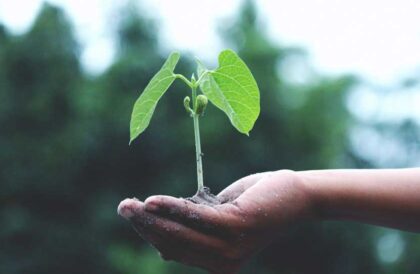 Post: O que é ESG e como aplicar em uma escola