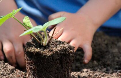 Post: Como incluir práticas de sustentabilidade no dia a dia da sua escola?
